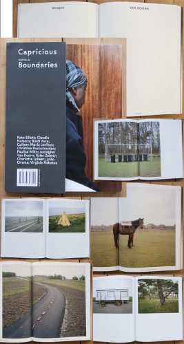 Image for My work is published in Capricious Magazine!