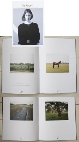 Image for Interlude: A Temporary Interruption in the Ordinary World published in The Room