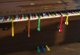 Image for Photography for various articles