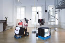 Image for Domestic Science