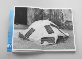 Image for In Passing