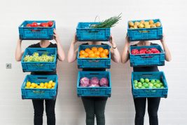 Image for Koning Willem 1 College