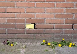 Image for Ordinary Magazine