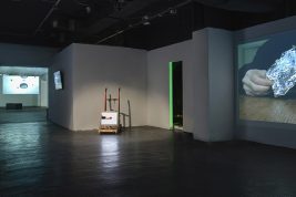 Image for Domestic Science @ Podroom Gallery, Belgrade