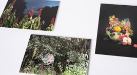 Image for Special edition prints new work Biophilia