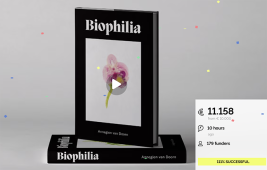 Image for Thank you 💚