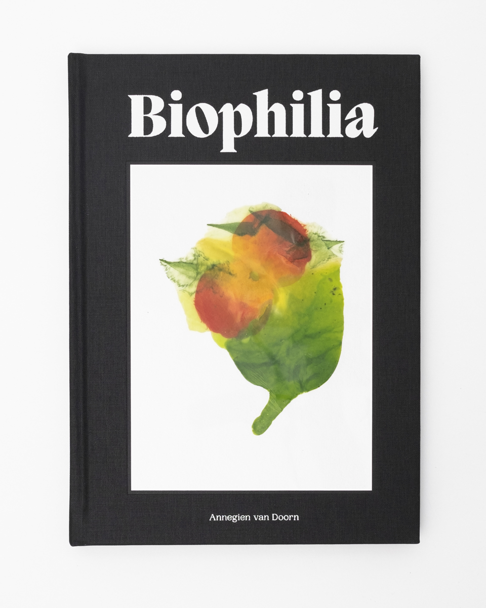 Biophilia ACCIDENTAL EDITION