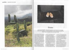 Image for Biophilia published in Belgium newspaper De Standaard