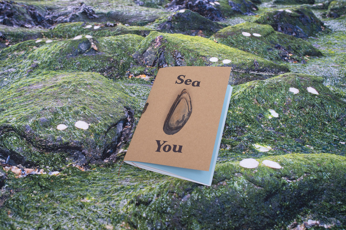 Sea You SPECIAL EDITION