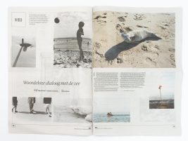 Image for Sea You published @ NRC